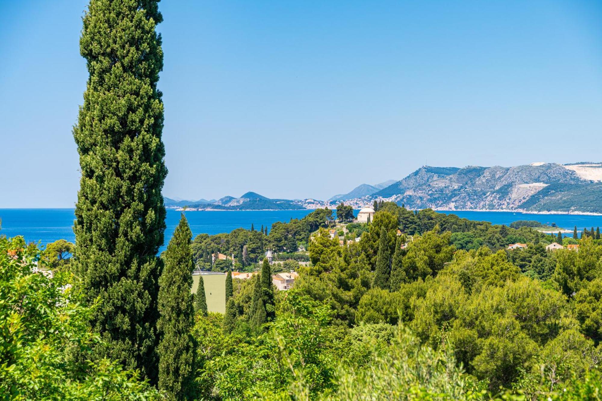 Villa Alegria Cavtat Zimmer foto